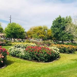 Meet your Posher, Guadalupe